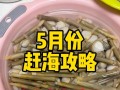 北海赶海攻略（北海赶海攻略技能，让您成为赶海高手）