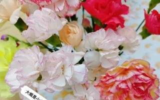 康乃馨俱乐部人物攻略（以游戏康乃馨俱乐部为舞台，挑战你的恋爱技巧！）