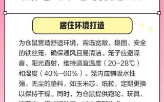 仓鼠日常游戏攻略（打造最幸福的仓鼠生活，）