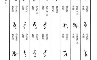 抢龙出装铭文攻略（一步步教你如何利用装备和铭文优势成功抢夺龙的关键技巧）