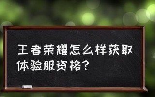 王者荣耀体验服资格每日限量多少万？（了解限量多少万的王者荣耀体验服资格，畅玩游戏新体验）