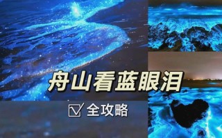 《寻仙心魔砺炼攻略》（突破心魔，成就修仙之路）