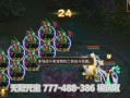 《问道手游极品宠物装备攻略》（破解秘籍，助你成为装备达人！）