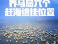 南戴河赶海攻略——掌握技巧尽享丰收（南戴河赶海技能分享，轻松捕获丰富海鲜美食）