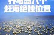 南戴河赶海攻略——掌握技巧尽享丰收（南戴河赶海技能分享，轻松捕获丰富海鲜美食）