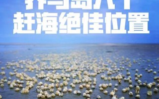 南戴河赶海攻略——掌握技巧尽享丰收（南戴河赶海技能分享，轻松捕获丰富海鲜美食）
