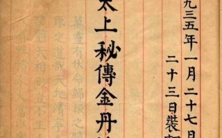 《以海王修炼手册》游戏攻略金丹（炼气到金丹，揭开修炼秘籍，打破迷局！）