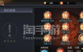 《三国战纪手游副本攻略大全》（一步一步，征服战场！）