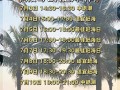 威海赶海攻略