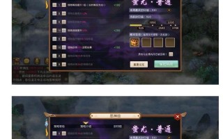 《问道手游私服攻略大揭秘》（手把手教你玩转私服，成就问道高手）