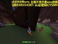 《躲猫猫游戏2联机版攻略》（打造最强隐藏者团队，成为游戏王者！）