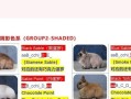 《探索侏儒兔手游的无限魅力》（解密最强攻略，成为顶级玩家）