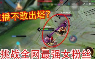 张大仙最新韩信出装攻略（攻略分享，玩转韩信的关键）