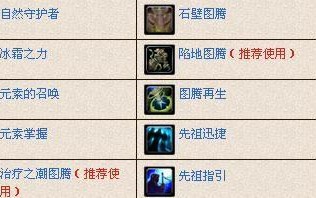 《以战矛在线萨满技能加点攻略》（打造最强战矛萨满，技能加点一网打尽）