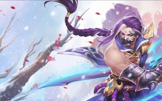 《兰陵王攻略与出装指南》（破敌无数、横扫战场的秘密武器！兰陵王攻略与装备选择大揭秘！）