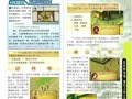 金庸群侠传3手游正版攻略大全（成为武林盟主，畅游金庸世界！）