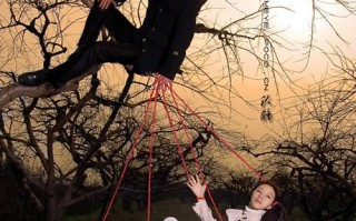 天使之吻（一场神秘的邂逅，爱与魔法的交织）