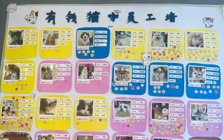 《萌宠系列小游戏攻略大全》（教你成为萌宠玩家的必备指南）