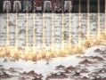 云梦玄冥出装攻略大揭秘（打造最强云梦玄冥，畅享无敌战斗）