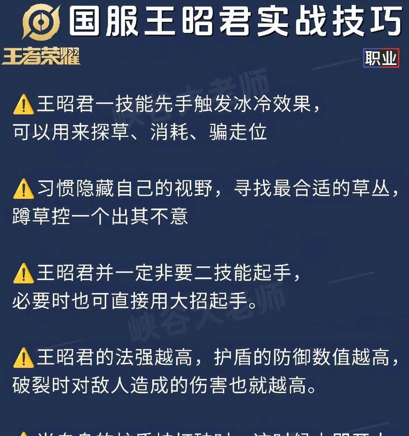 王昭君新手出装教学攻略（王昭君出装搭配及技巧分享）-第3张图片-游戏攻略港