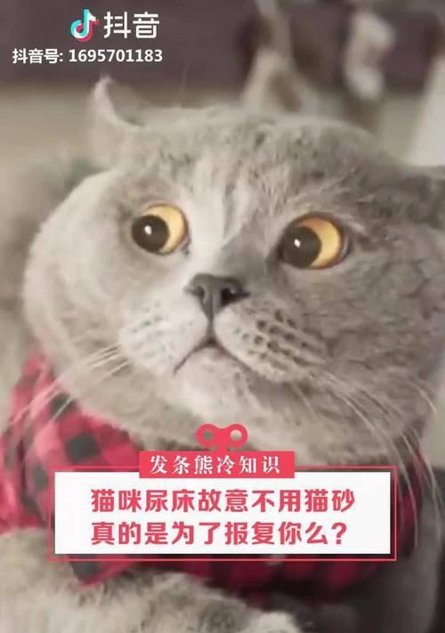 《魔鬼战猫技能搭配攻略》（超凡技能组合让你无往不利！）-第1张图片-游戏攻略港