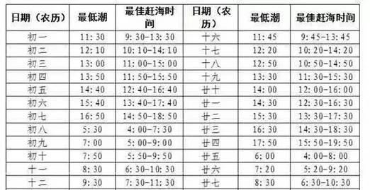 南通赶海攻略（南通赶海的关键技能和实用建议，助你成为赶海高手！）-第1张图片-游戏攻略港