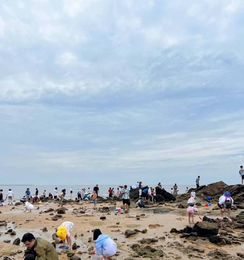 威海赶海攻略-第3张图片-游戏攻略港