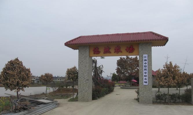 悠然农场手游攻略（从小农场到大农场，打造自己的田园天堂）-第3张图片-游戏攻略港