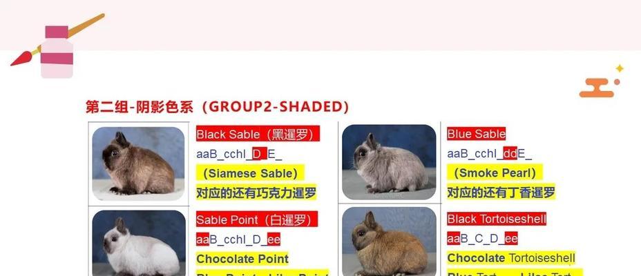 《探索侏儒兔手游的无限魅力》（解密最强攻略，成为顶级玩家）-第1张图片-游戏攻略港