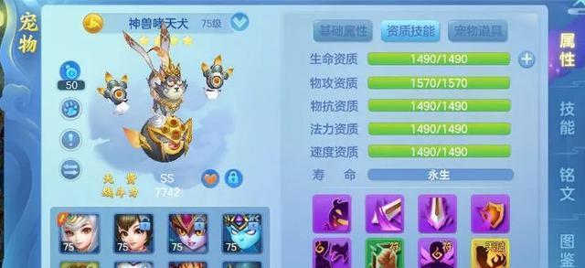 《探寻梦想世界手游中的宠物攻略》（揭秘宠物技能搭配，助你称霸游戏世界）-第1张图片-游戏攻略港