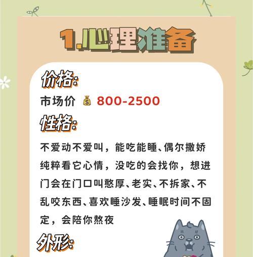养猫攻略游戏（从零开始，成为猫咪的最佳主人！）-第3张图片-游戏攻略港