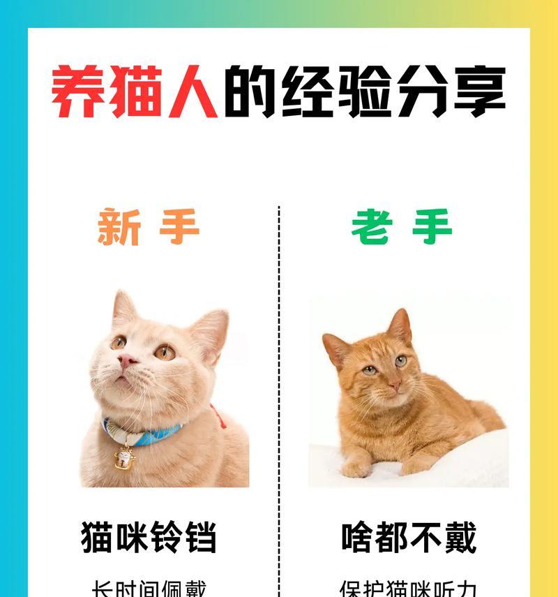 养猫攻略游戏（从零开始，成为猫咪的最佳主人！）-第2张图片-游戏攻略港