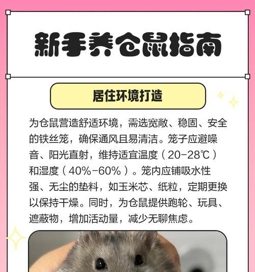仓鼠日常游戏攻略（打造最幸福的仓鼠生活，）-第1张图片-游戏攻略港