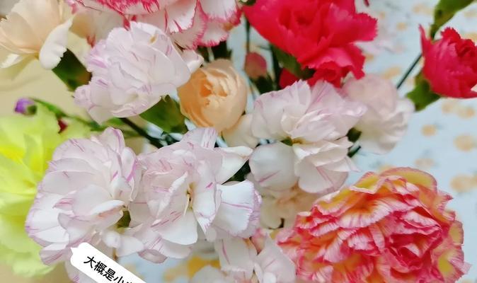 康乃馨俱乐部人物攻略（以游戏康乃馨俱乐部为舞台，挑战你的恋爱技巧！）-第1张图片-游戏攻略港