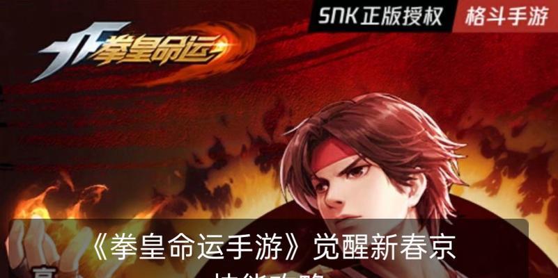 拳皇命运平民出装攻略（细节决定成败，拳皇命运平民出装攻略大揭秘）-第3张图片-游戏攻略港