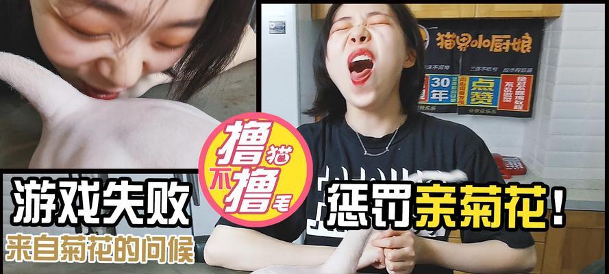 不许摸我屁股游戏攻略（掌握游戏技巧，成为无敌战士！）-第2张图片-游戏攻略港