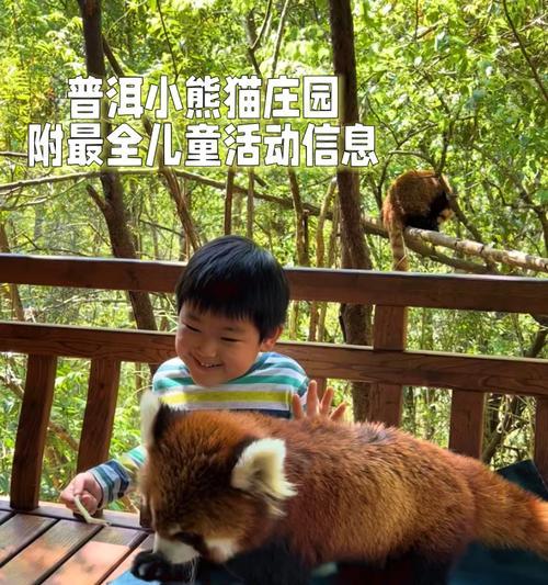 小熊猫启蒙游戏攻略（通过游戏帮助孩子提升认知与动手能力，让他们在快乐中学习成长）-第1张图片-游戏攻略港