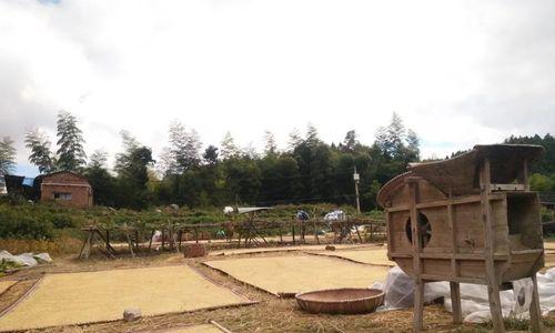 稻草人攻略（以野战游戏稻草人攻略为主题的综合指南，助你在游戏中取得优势）-第2张图片-游戏攻略港