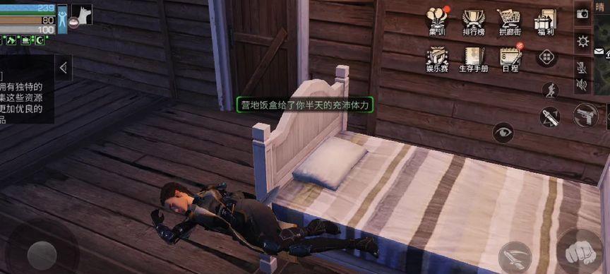 《明日之后菜鸟游戏攻略大全》（一步步成为专业生存者，打造理想家园）-第2张图片-游戏攻略港