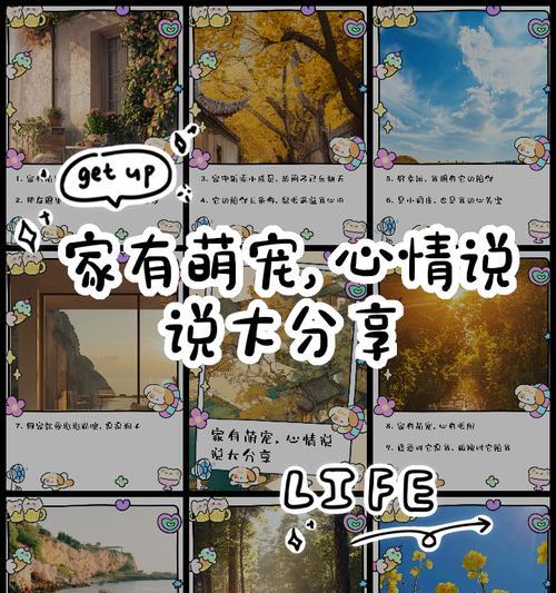 《萌宠系列小游戏攻略大全》（教你成为萌宠玩家的必备指南）-第2张图片-游戏攻略港